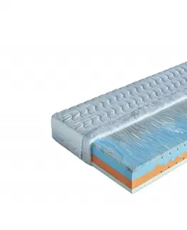 Matrace Pěnová sendvičová matrace BEÁTA + 1x polštář Lukáš ZDARMA Dřevočal 90 x 200 cm SilverGuard