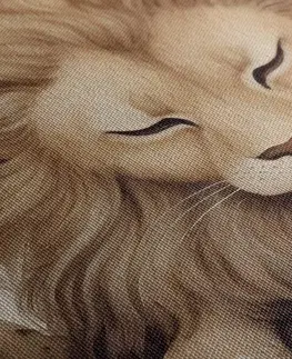 Zasněná zvířátka Obraz zasněný lev