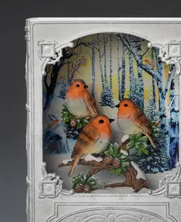 Vánoční vnitřní dekorace Konstsmide Christmas LED stolní dekorace vodní lucerna kniha s ptáky