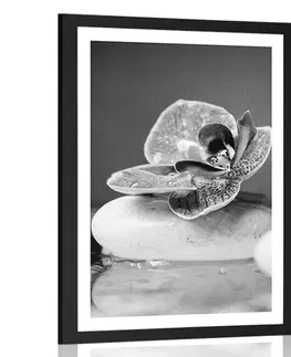Černobílé Plakát s paspartou orchidej a Zen kameny v černobílém provedení
