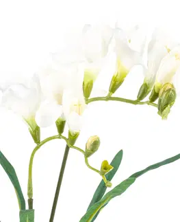 Květiny Umělá květina Frézie bílá, 57 cm