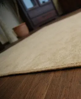 Koberce a koberečky Dywany Lusczow Kusový koberec SERENADE Hagy béžový, velikost 200x300