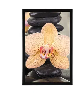 Feng Shui Plakát žlutá orchidej a Zen kameny