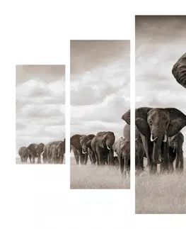 Obrazy Hanah Home Vícedílný obraz Sloni 92 x 56 cm