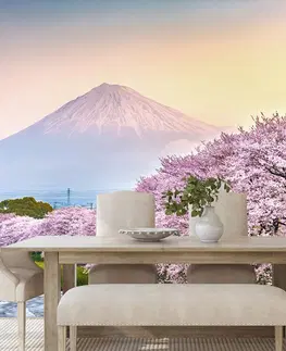 Tapety příroda Fototapeta nádherné Japonsko