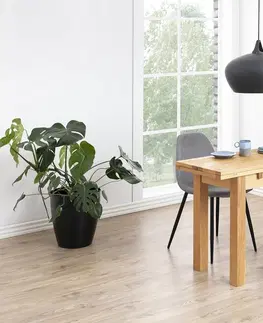 Židle Dkton Designová jídelní židle Alphonsus světlešedá / černá