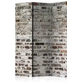 Paravány Paraván Walls of Time Dekorhome 135x172 cm (3-dílný)
