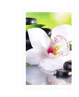 Feng Shui Plakát japonská orchidej