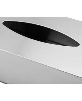Koupelnový nábytek Box na papírové kapesníky NEXIO matný nerez BLOMUS