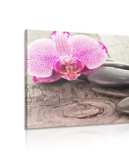 Obrazy Feng Shui Obraz orchidej a Zen kameny na dřevěném podkladu