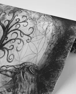 Černobílé tapety Tapeta černobílý magický strom života