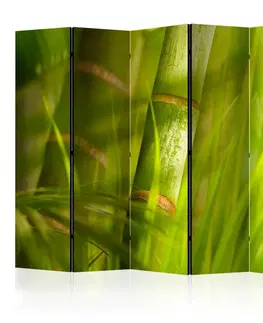 Paravány Paraván Bamboo - nature zen Dekorhome 135x172 cm (3-dílný)