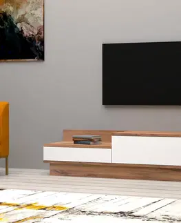 Televizní stolky Televizní stolek BARKO borovice bílý