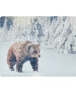Koberce a koberečky Rohožka Medvěd, 38 x 58 cm