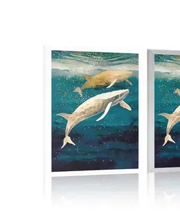 Podmořský svět Plakát velryby v oceánu
