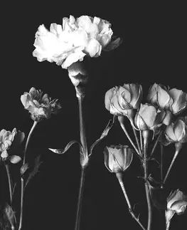 Černobílé obrazy Obraz elegantní černobílé květiny