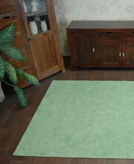 Koberce a koberečky Dywany Lusczow Kusový koberec SERENADE Hagy zelený, velikost 400x600