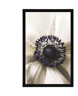 Květiny Plakát rozkvetlý květ