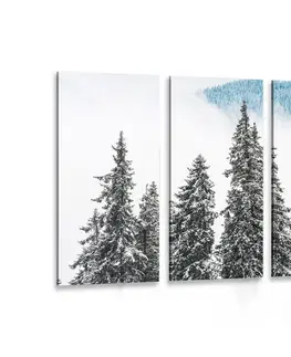 Obrazy přírody a krajiny 5-dílný obraz zasněžené borové stromy