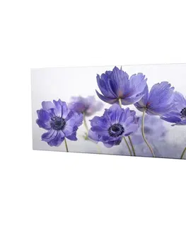 Obrazy Wallity Obraz na plátně Violet beauty PC028 30x80 cm