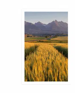 Příroda Plakát západ slunce nad pšeničným polem