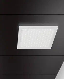 Rastrová svítidla Regent Lighting Regent Dime Office stropní světlo 63cm 43W 4000K