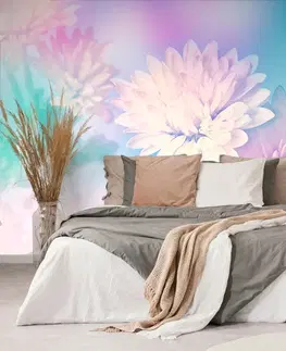 Samolepící tapety Samolepící tapeta květ chryzantémy