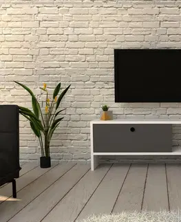 Televizní stolky Televizní stolek FUNDA antracit bílý