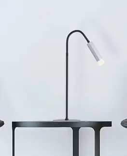 Stolní lampy PURE Paul Neuhaus Pure-Gemin LED stolní lampa stříbrná