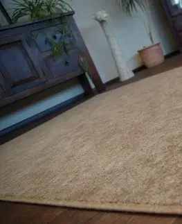 Koberce a koberečky Dywany Lusczow Kusový koberec SERENADE Hagy světle hnědý, velikost 100x300