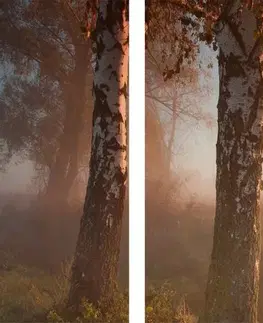 Obrazy přírody a krajiny 5-dílný obraz mlhavý podzimní les