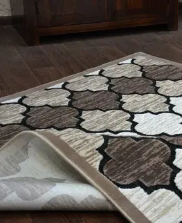 Koberce a koberečky Dywany Lusczow Kusový koberec ACRYLOVY YAZZ 3766 tmavě béžový / losos trellis, velikost 160x220