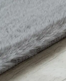 Koberce a koberečky Dywany Lusczow Kusový koberec BUNNY stříbrný, velikost 60x100