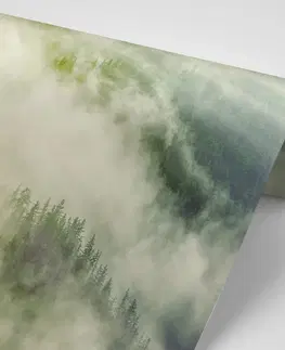 Samolepící tapety Samolepící fototapeta mlhavý les