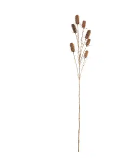 Umělé květiny Okrasný bodlák 110cm beige
