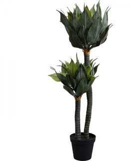 Umělé rostliny KARE Design Dekorativní rostlina Agave 120cm