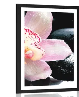Feng Shui Plakát s paspartou exotická orchidej