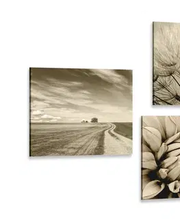Sestavy obrazů Set obrazů pole s květinami v sépiovém provedení