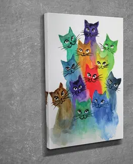 Obrazy Wallity Obraz HAPPY CATS 30x40 cm vícebarevný