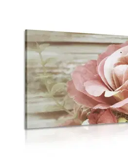 Vintage a retro obrazy Obraz elegantní vintage růže