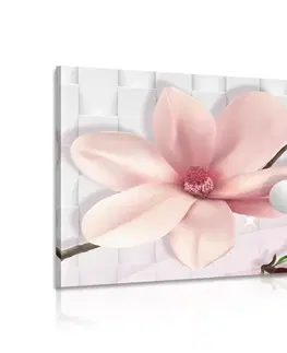 Obrazy květů Obraz magnolie s abstraktními prvky