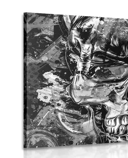 Černobílé obrazy Obraz umělecká lebka v černobílém provedení