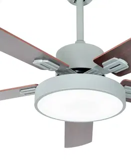 Stropní ventilátory se světlem Starluna Starluna Rivando LED stropní ventilátor, CCT, šedá