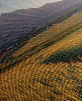 Obrazy přírody a krajiny Obraz západ slunce nad pšeničným polem