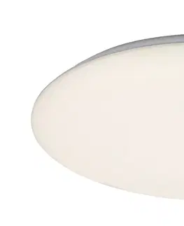 Klasická stropní svítidla Rabalux stropní svítidlo Rorik LED 24W 71124