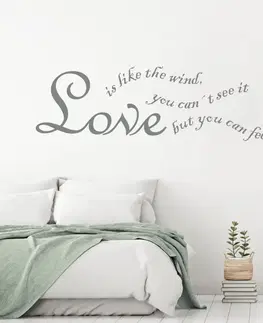 Samolepky na zeď Nálepka na zeď - Love is like the wind (citát na zeď)