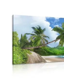 Obrazy přírody a krajiny Obraz nádherná pláž na ostrově Seychely