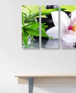 Obrazy Feng Shui 5-dílný obraz japonská orchidej