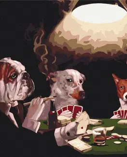 Zvířata Malování podle čísel partička pokeru