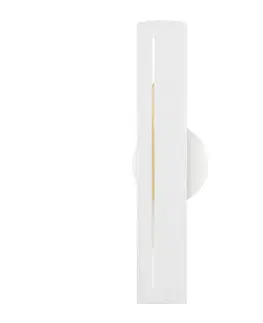 Moderní nástěnná svítidla HUDSON VALLEY nástěnné svítidlo BRANDON ocel bílá E27 2x40W B7881-GSW-CE
